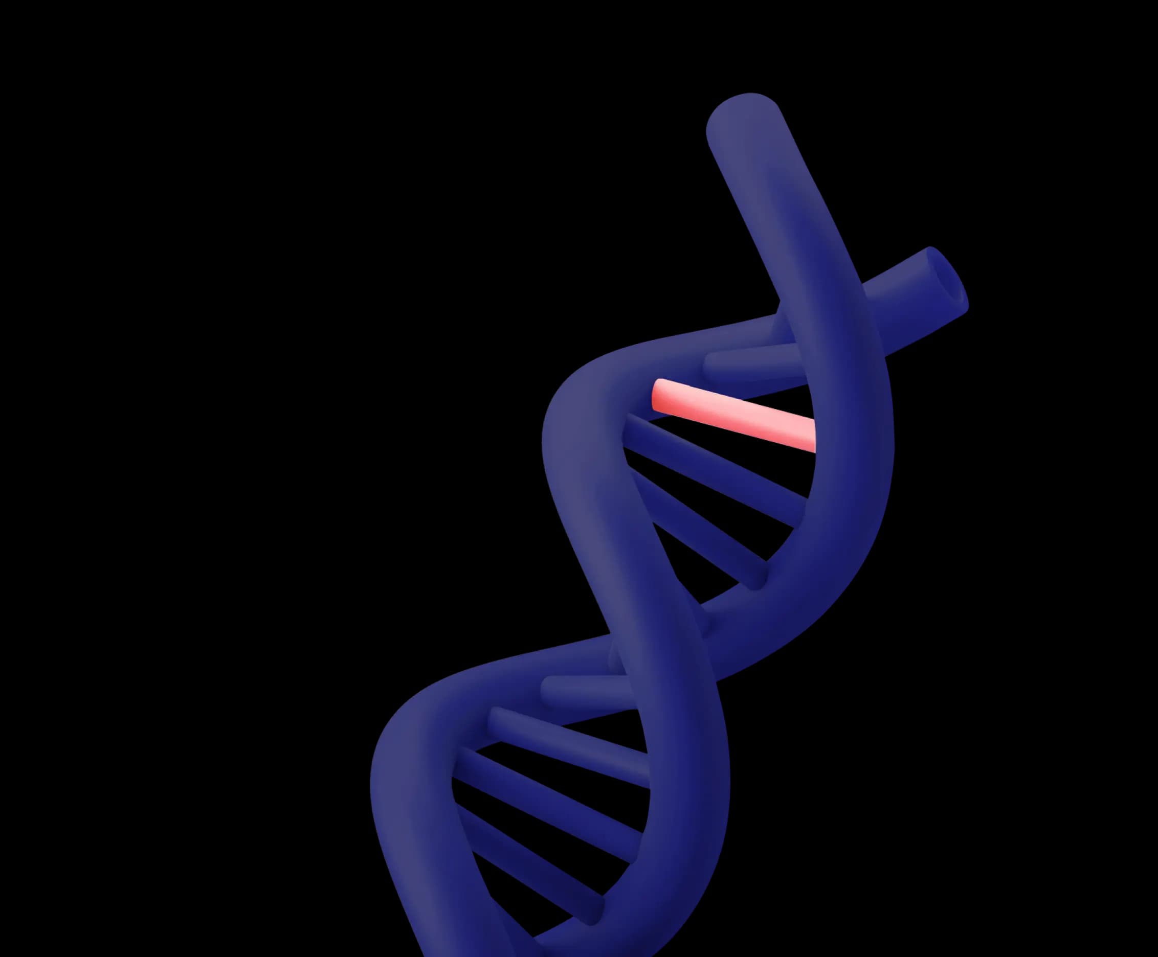 dna helix