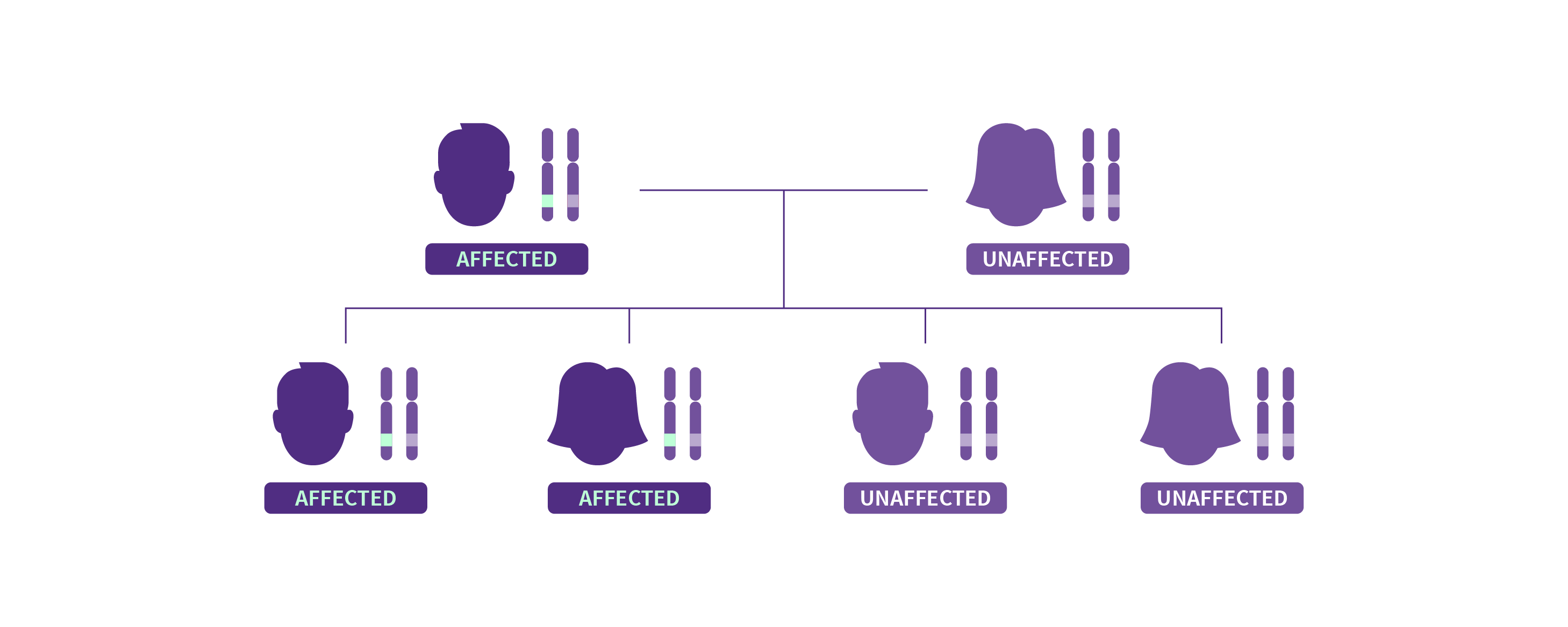 A family tree showing autosomal dominant inheritance pattern of Dravet syndrome.
