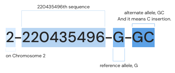 Example No.2: 2-220435496-G-GC