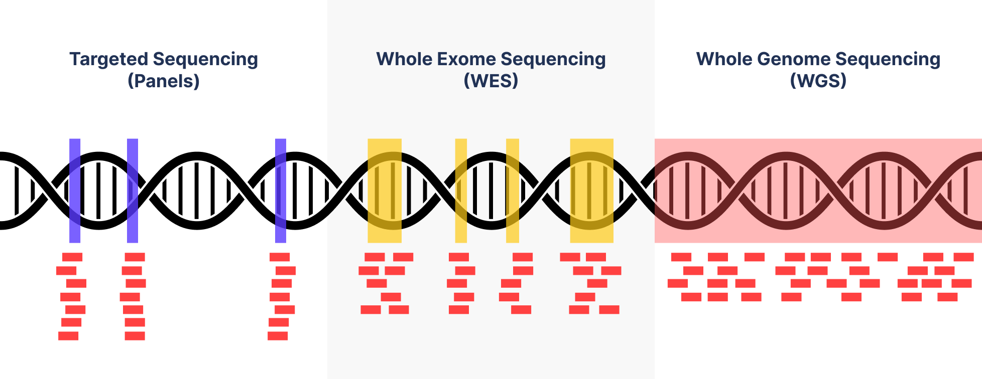 Genetic-testing-Panels-WES-WGS